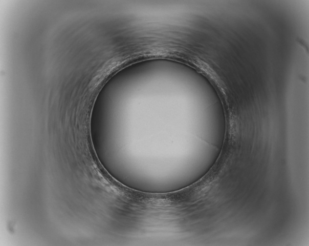 X0000101220577200807071350