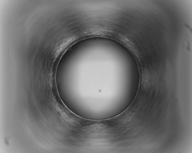 X0000101220578200807071350