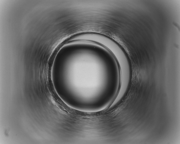 X0000101220580200807071350
