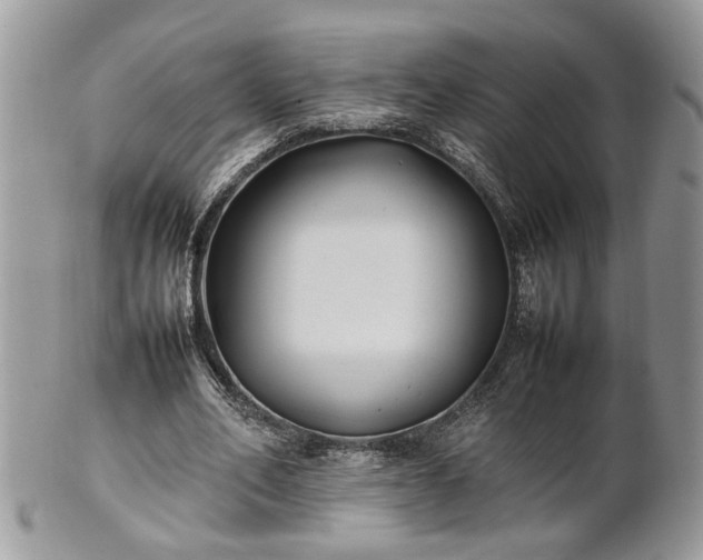 X0000101220582200807071350