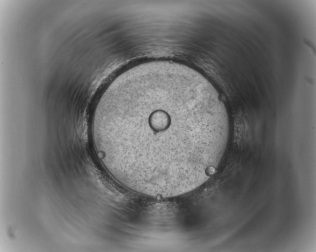 X0000101220584200807071350