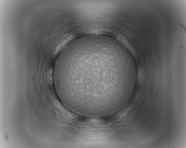 X0000101220585200807071350