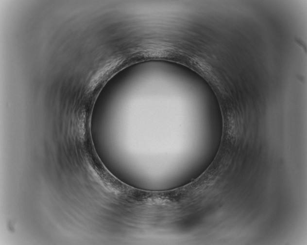 X0000101220586200807071350