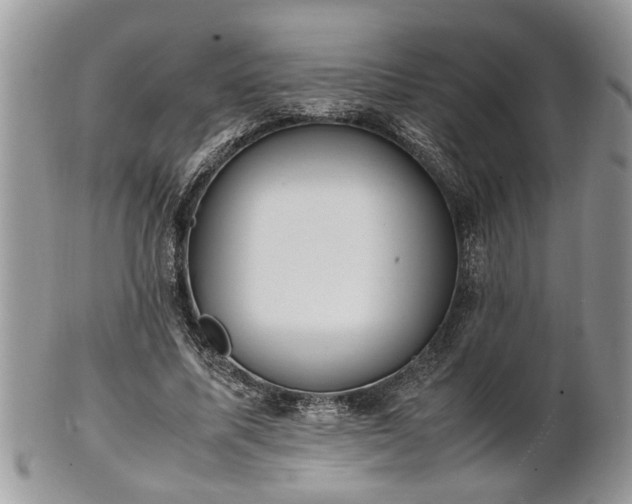 X0000101220587200807071350