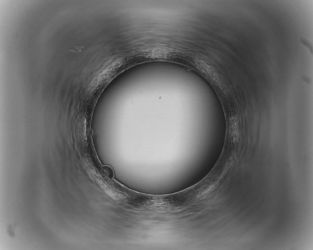 X0000101220589200807071350