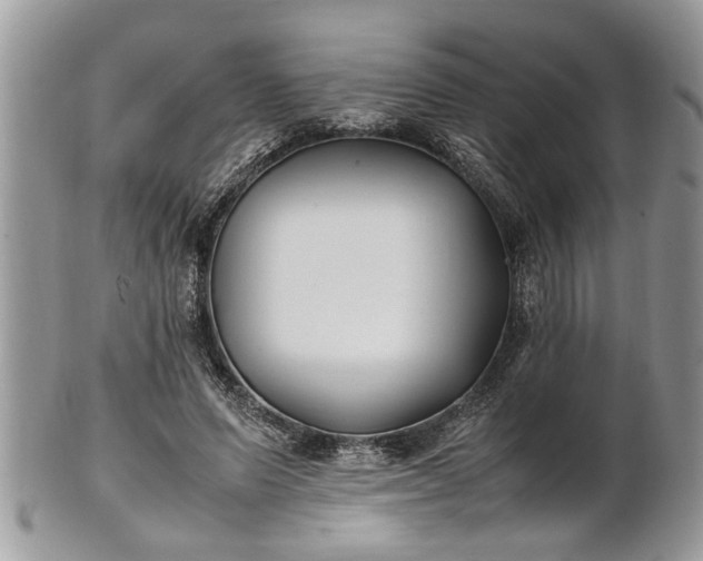 X0000101220591200807071350