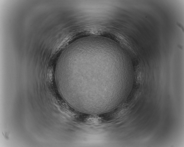 X0000101220595200807071350