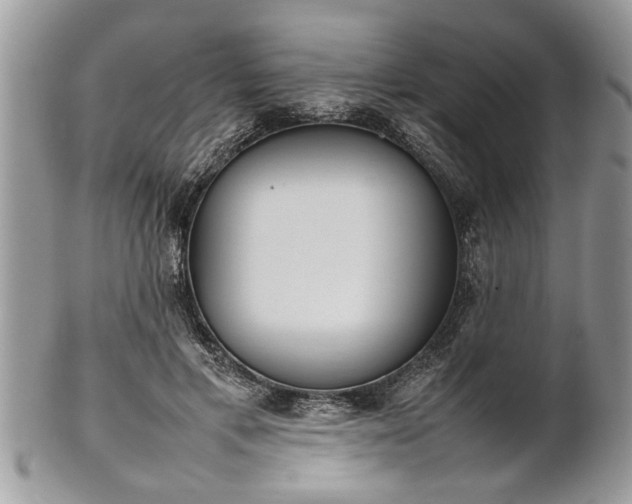 X0000101220597200807071350
