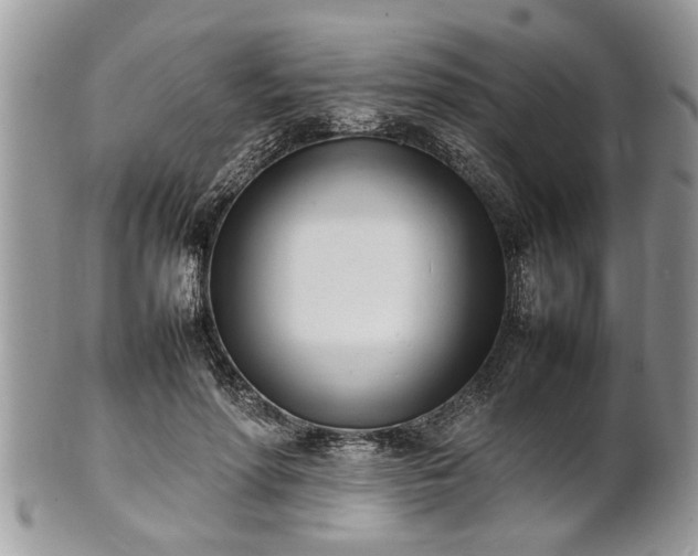 X0000101220598200807071350