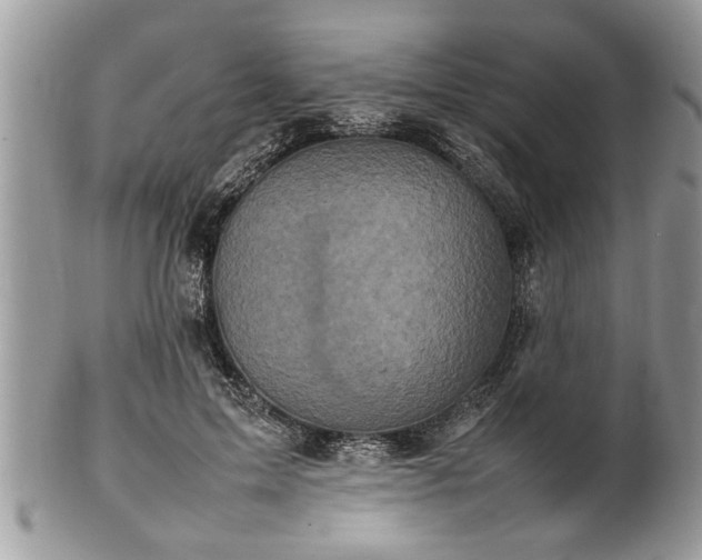 X0000101220599200807071350