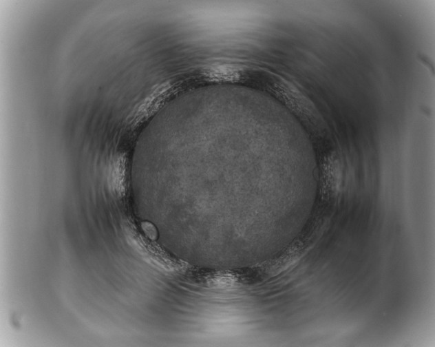 X0000101220600200807071350