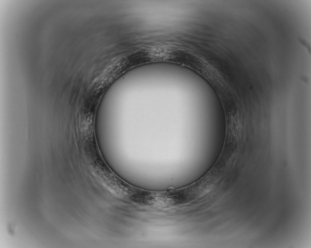 X0000101220601200807071349