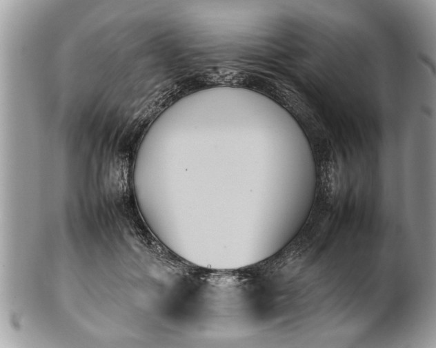 X0000101220602200807071349