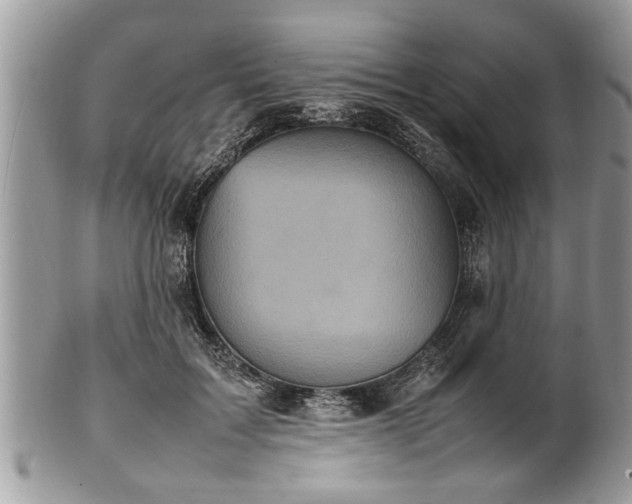 X0000101220603200807071349