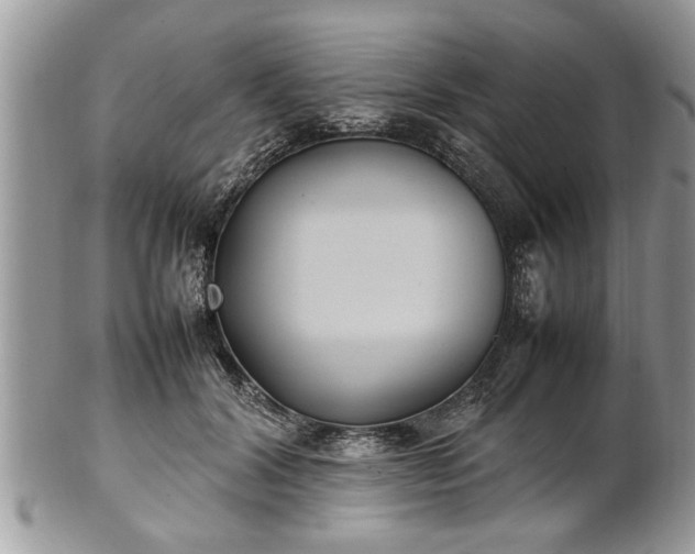 X0000101220604200807071349