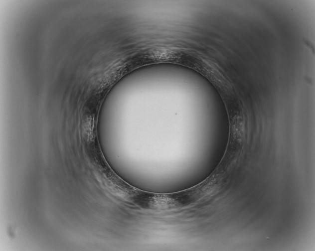 X0000101220605200807071349