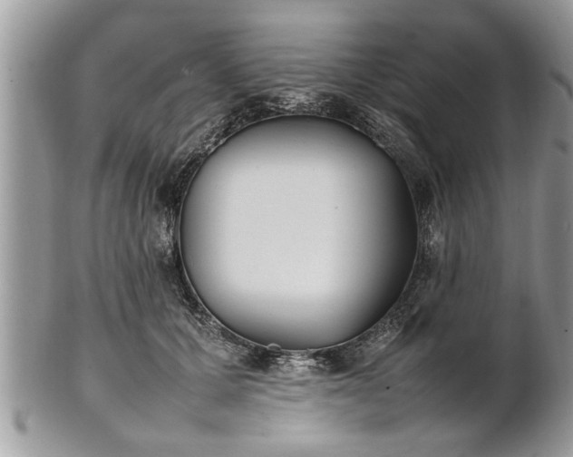 X0000101220607200807071349