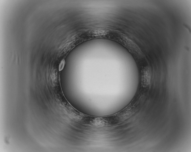 X0000101220608200807071349