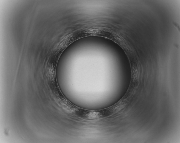 X0000101220609200807071349