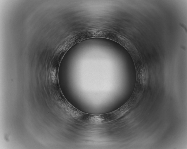 X0000101220610200807071349