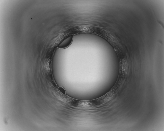 X0000101220611200807071349