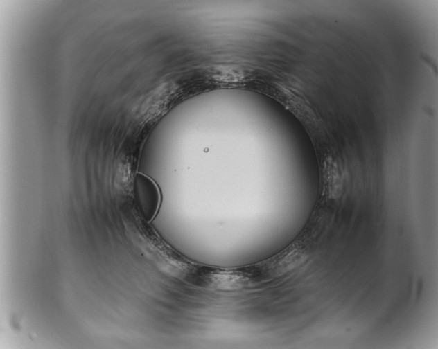 X0000101220614200807071349