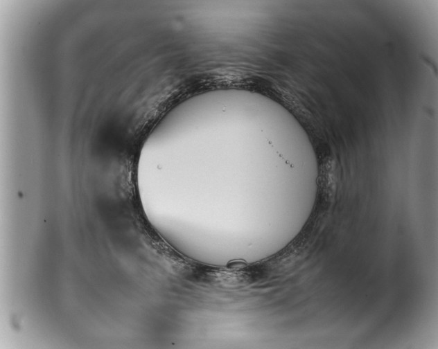 X0000101220615200807071349