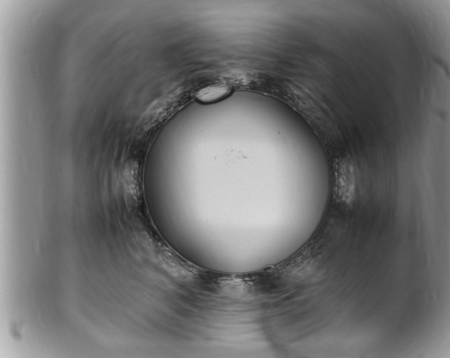 X0000101220616200807071349