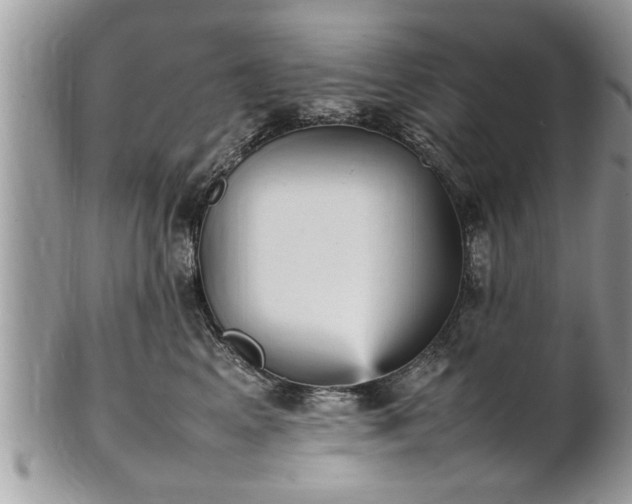 X0000101220617200807071349