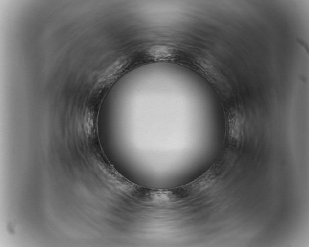 X0000101220618200807071349