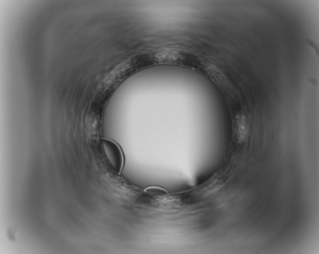 X0000101220619200807071349