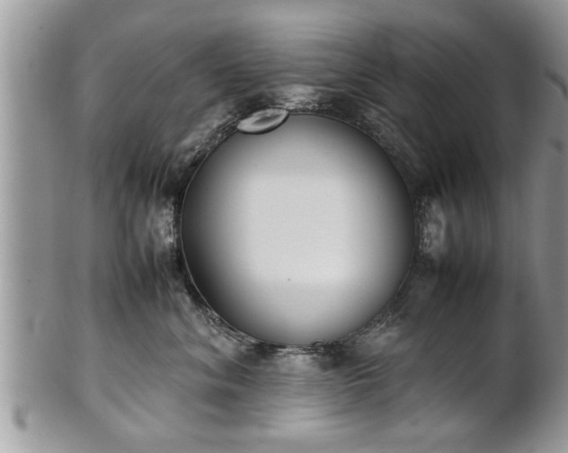 X0000101220620200807071349