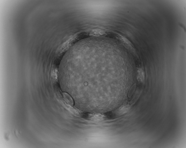 X0000101220621200807071349