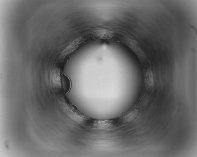X0000101220622200807071349