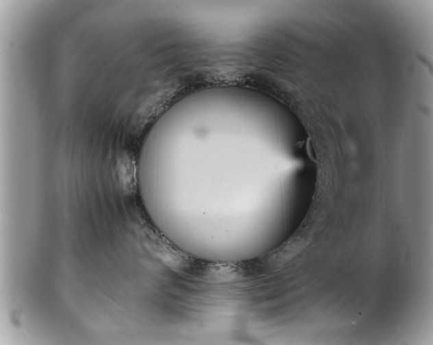 X0000101220624200807071349