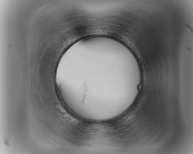 X0000101220625200807071348