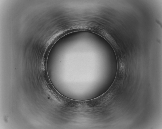 X0000101220628200807071349