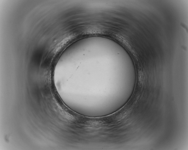 X0000101220629200807071349