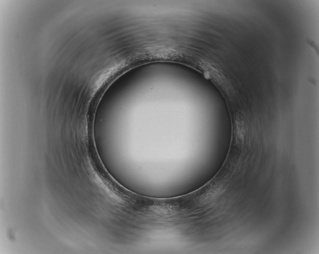 X0000101220630200807071349