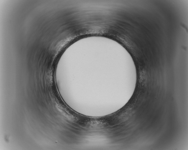 X0000101220632200807071349