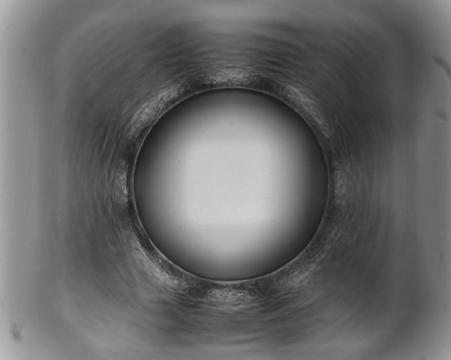 X0000101220633200807071349