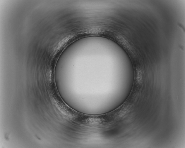 X0000101220636200807071349