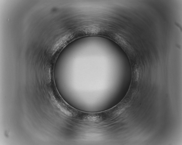 X0000101220638200807071349