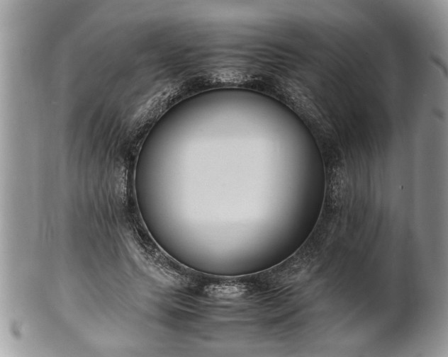 X0000101220639200807071349