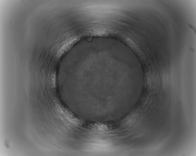 X0000101220640200807071349