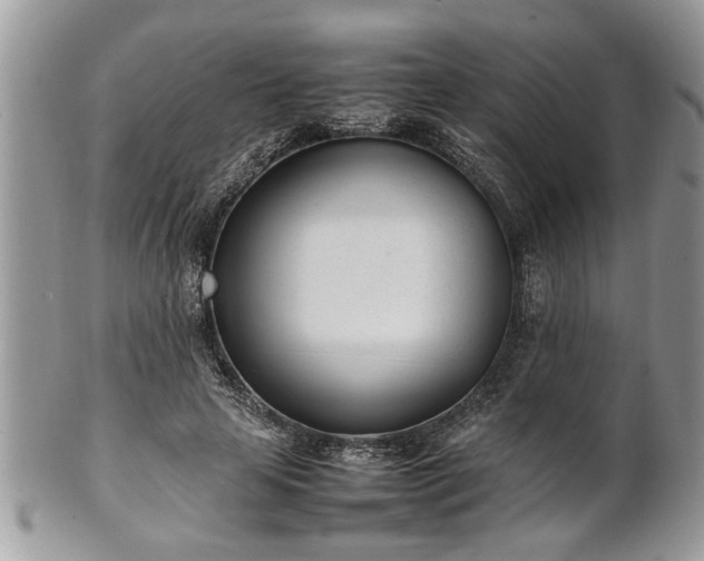X0000101220641200807071349
