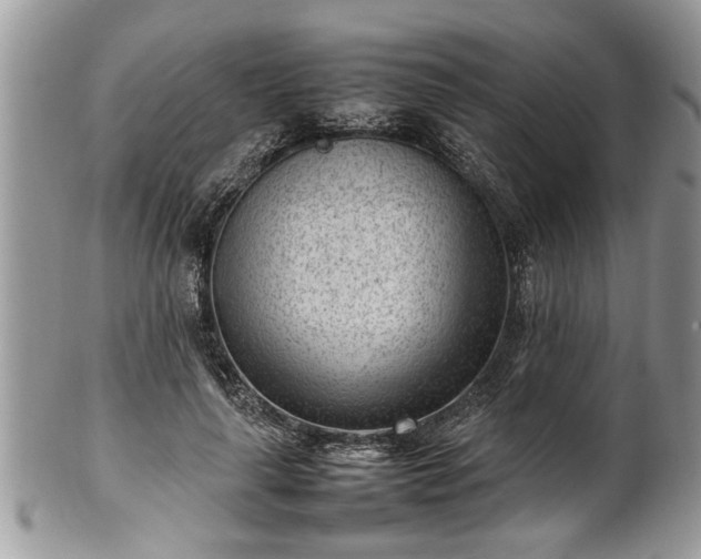X0000101220643200807071349