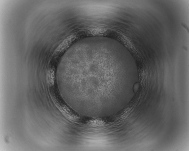 X0000101220644200807071349