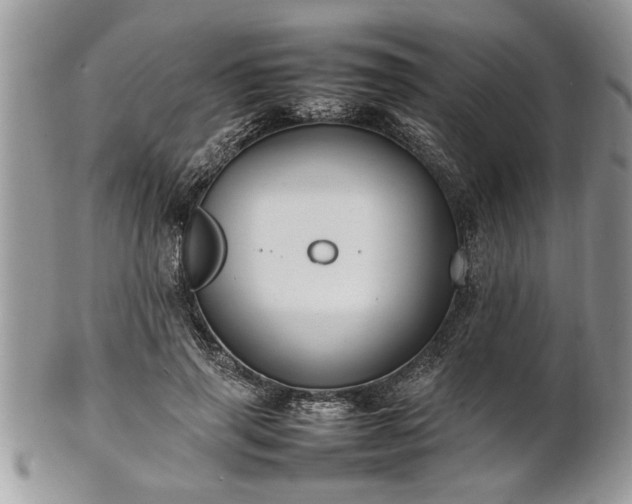 X0000101220645200807071349