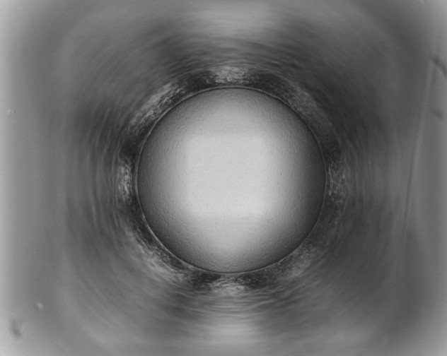 X0000101220648200807071349